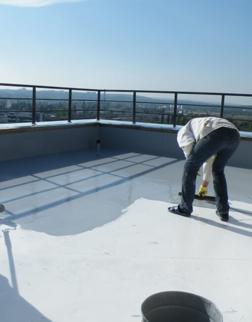 Roof Top Gardening