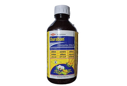 Dursban (Anti-termite)